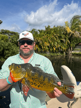 Fishing in Miami, Florida