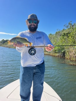Largemouth Bass Fishing in Islamorada, Florida
