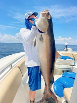 Amberjack Fishing in Fort Myers, Florida
