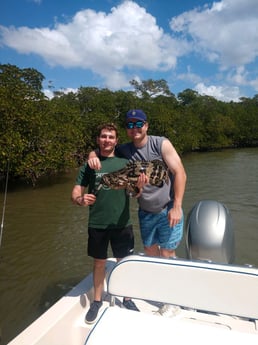 Goliath Grouper fishing in Naples, Florida