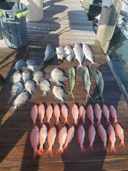 Amberjack, Mahi Mahi, Triggerfish, Vermillion Snapper Fishing in Port Orange, Florida