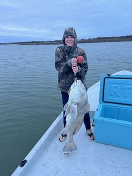 Black Drum Fishing in Port O&#039;Connor, Texas