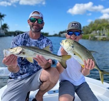 Jack Crevalle, Snook Fishing in Sarasota, Florida