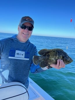 Tripletail Fishing in Cape Coral, Florida