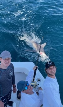 Bull Shark Fishing in Pompano Beach, Florida