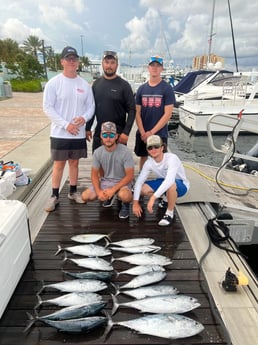 Little Tunny / False Albacore Fishing in West Palm Beach, Florida