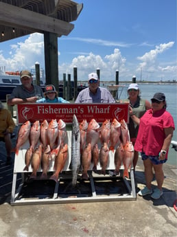 Barracuda, Mangrove Snapper, Red Snapper Fishing in Port Aransas, Texas