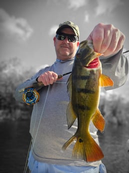 Fishing in Pembroke Pines, Florida