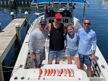 Scup, Vermillion Snapper Fishing in Destin, Florida
