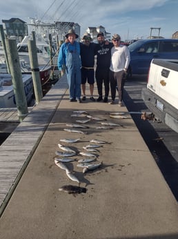 Bluefish, Speckled Trout, Tripletail Fishing in Frisco, North Carolina