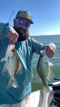Crappie fishing in Zapata, Texas