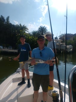 Snook fishing in Naples, Florida
