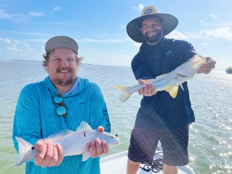 Redfish, Snook Fishing in Tavernier, Florida