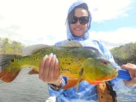 Fishing in Pembroke Pines, Florida