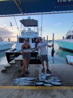 Blackfin Tuna, False Albacore, Kingfish, Wahoo Fishing in Port Isabel, Texas