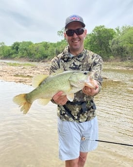 Largemouth Bass fishing in Granbury, Texas