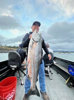 Chinook Salmon fishing in Toledo, Washington
