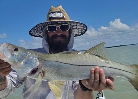 Snook Fishing in Islamorada, Florida