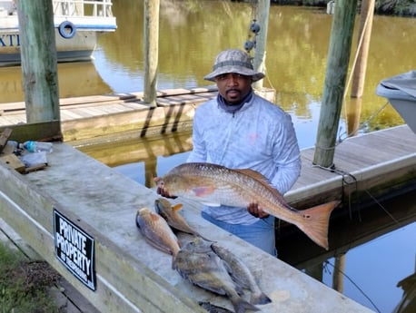 Redfish, Sheepshead, Speckled Trout Fishing in Saint Bernard, Louisiana