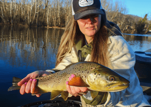 Brown Trout Fishing in Johnson City, Tennessee