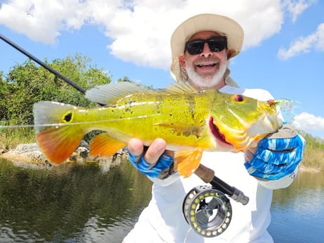 Fishing in Pembroke Pines, Florida