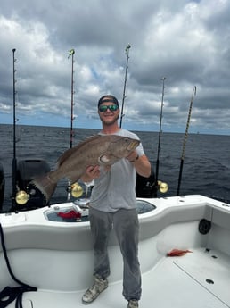 Scamp Grouper Fishing in Destin, Florida