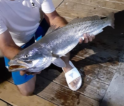Speckled Trout / Spotted Seatrout fishing in Texas City, Texas