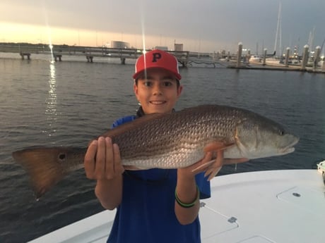 Redfish fishing in Charleston, South Carolina