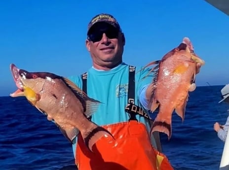 Hogfish Fishing in St. Petersburg, Florida