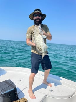 Gag Grouper Fishing in St. Petersburg, Florida