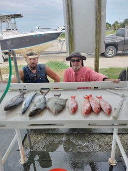 Red Snapper, Triggerfish Fishing in Jacksonville, Florida