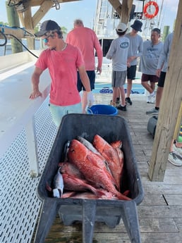 False Albacore, Red Snapper Fishing in Orange Beach, Alabama