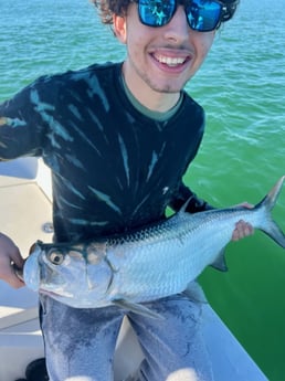 Tarpon fishing in Miami Beach, Florida