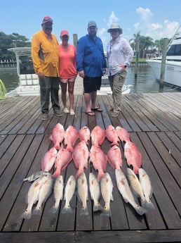 Red Snapper, Redfish, Sheepshead Fishing in Buras, Louisiana