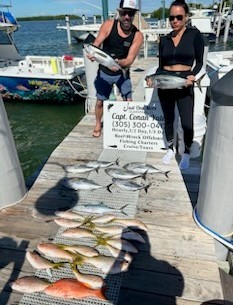 Little Tunny / False Albacore, Red Snapper, Yellowtail Snapper Fishing in Islamorada, Florida