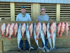 Kingfish, Red Snapper Fishing in Corpus Christi, Texas