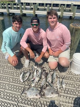 Bluefish, Spadefish Fishing in Dauphin Island, Alabama