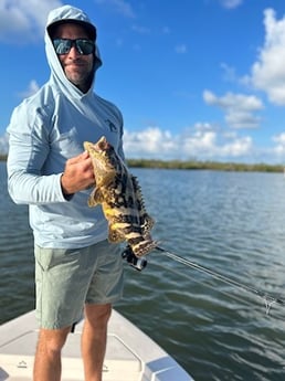 Goliath Grouper Fishing in Cape Coral, Florida