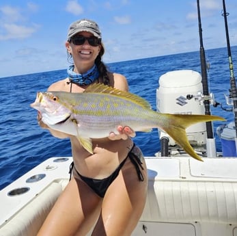 Yellowtail Snapper Fishing in St. Petersburg, Florida