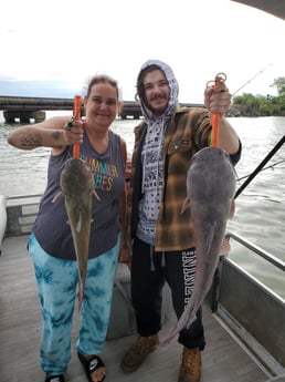Blue Catfish, Channel Catfish Fishing in Port Clinton, Ohio