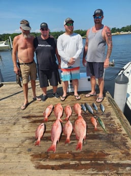 False Albacore, Mahi Mahi, Red Snapper Fishing in Pensacola, Florida