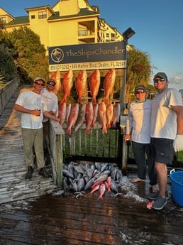 Blackfin Tuna, Red Snapper, Scamp Grouper Fishing in Destin, Florida