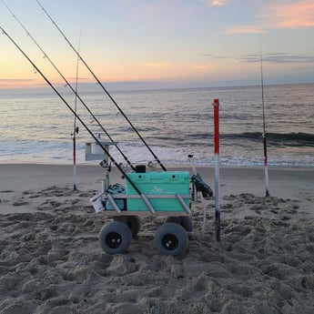 Fishing in Stone Harbor, New Jersey