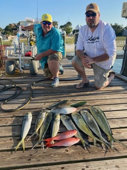 Mahi Mahi, Triggerfish, Vermillion Snapper Fishing in Pensacola, Florida