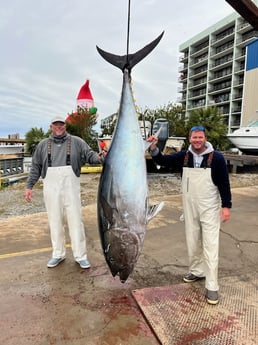 Bluefin Tuna Fishing in Carolina Beach, North Carolina