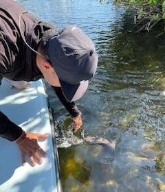 Speckled Trout / Spotted Seatrout Fishing in St. Petersburg, Florida