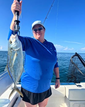 Amberjack Fishing in Tavernier, Florida