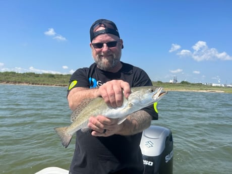 Speckled Trout Fishing in League City, Texas
