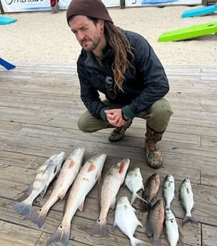 Black Drum, Bluefish, Florida Pompano, Mangrove Snapper, Redfish Fishing in Orange Beach, Alabama