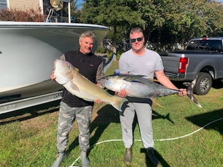 Tilefish, Yellowfin Tuna Fishing in Jupiter, Florida